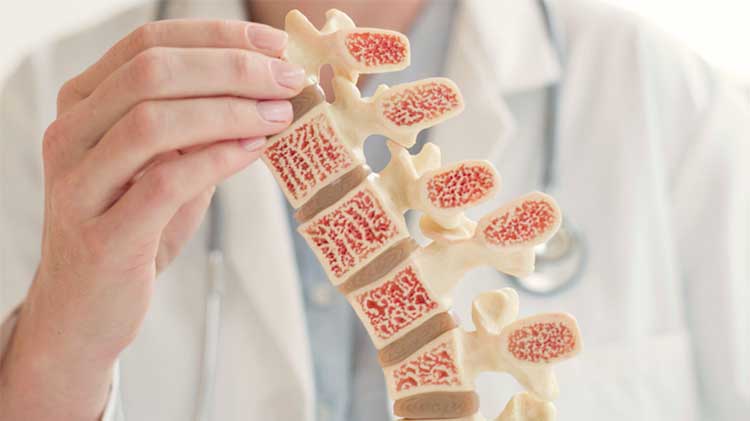 ساختار بدنی