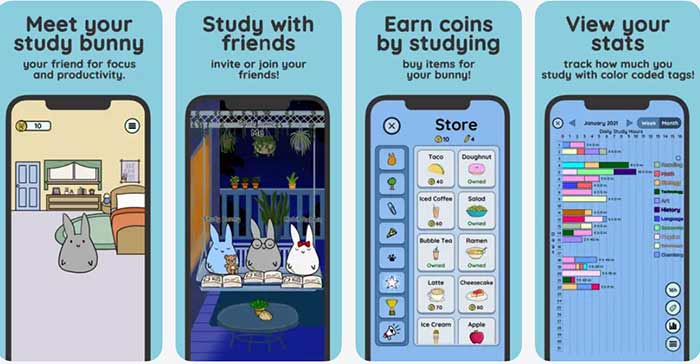 Study Bunny استادی بانی 