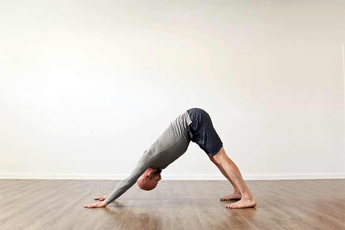 حالت سگ سر پایین (Adho Mukha Svanasana - Downward Dog)