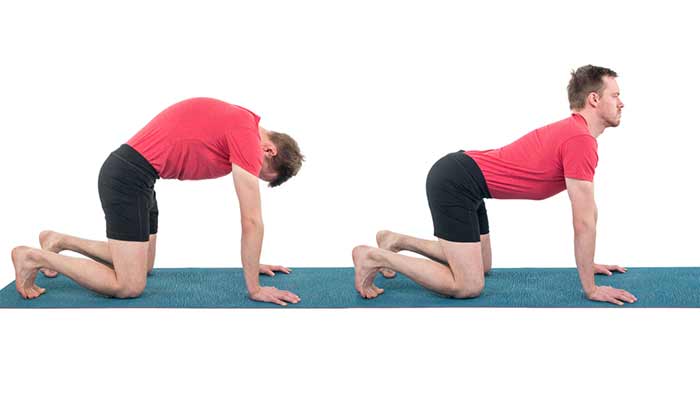 حالت گربه-گاو (Marjaryasana-Bitilasana - Cat-Cow Pose)