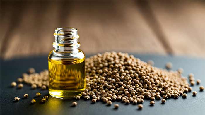 تکنیک gua sha با روغن دانه شاهدانه (hemp seed oil)